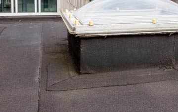 disadvantages of Ecchinswell flat roofs